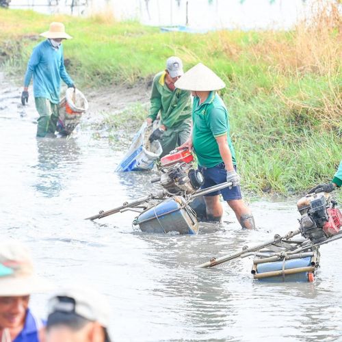 Nông dân An Giang trúng đậm vụ tôm càng xanh