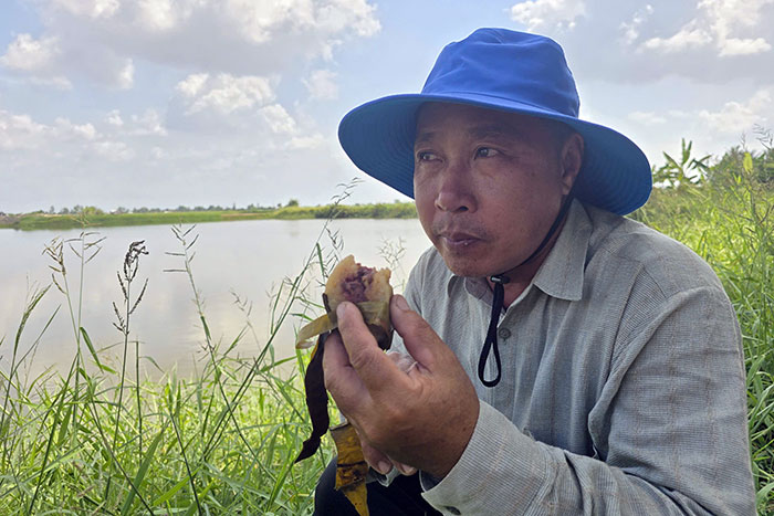 Ông Nguyễn Sê Ri tranh thủ ăn vội khoanh bánh tét trước giờ bắt tôm.
